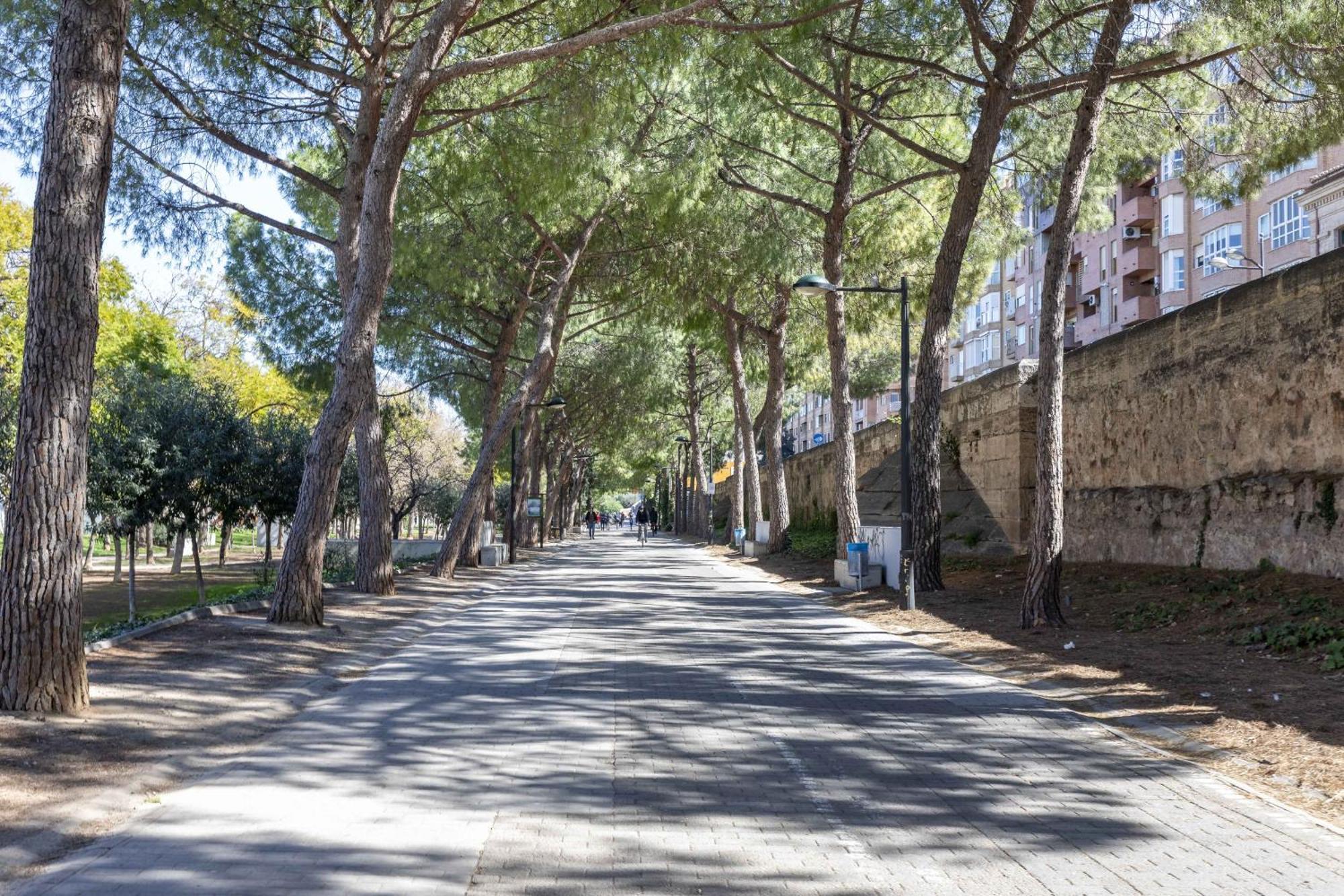 Apartup Turia River Park Βαλένθια Εξωτερικό φωτογραφία