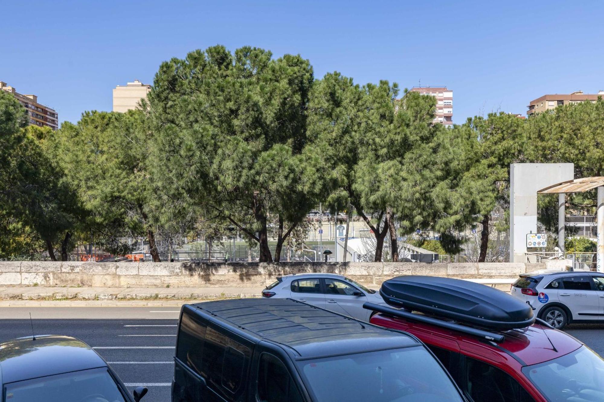 Apartup Turia River Park Βαλένθια Εξωτερικό φωτογραφία